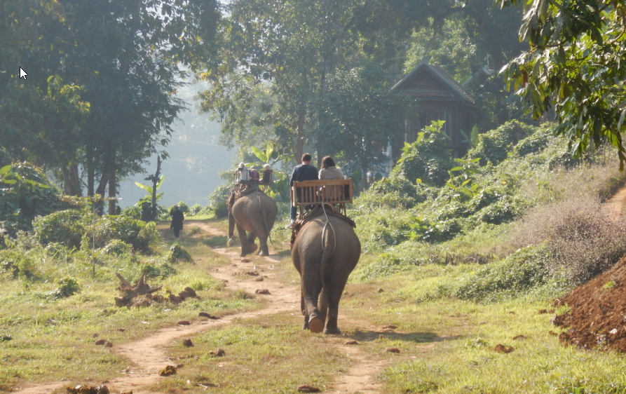 Elefantenfuehrer Laos Luang Prabang Elefanten Camp