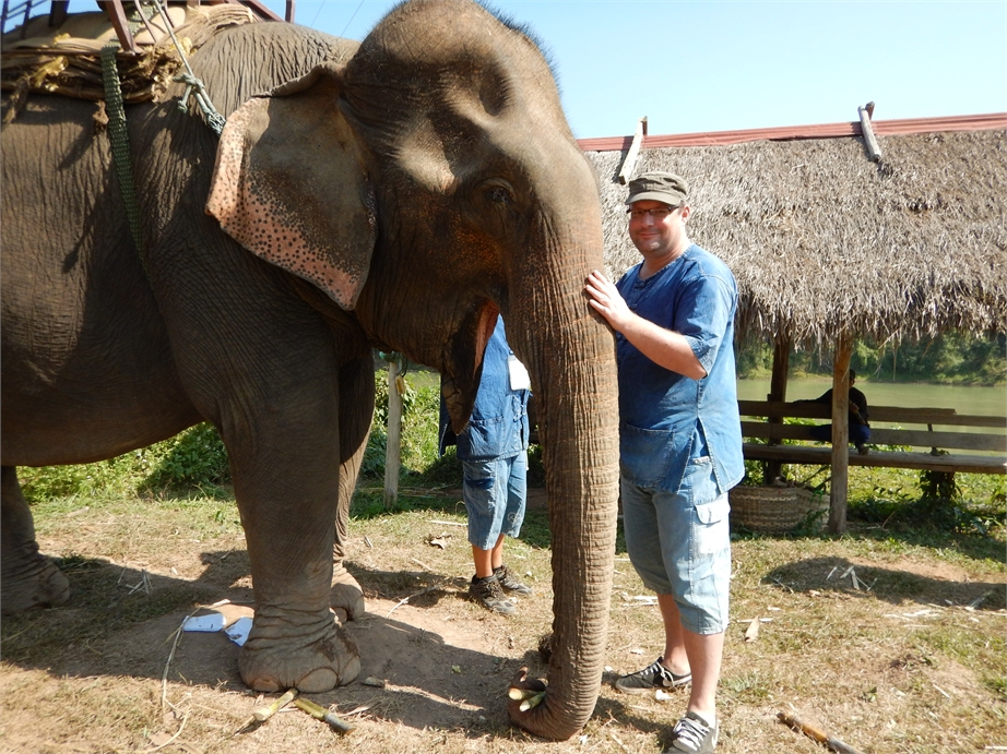 laos luang prabang elefanten 0043