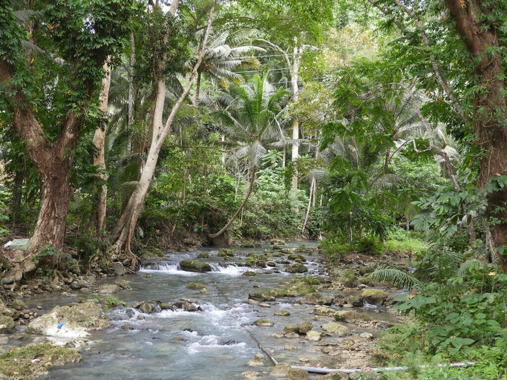 Fluss nach dem Wasserfall